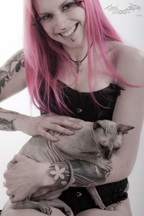 laracats 72